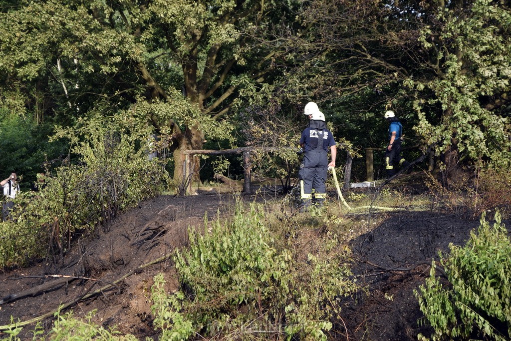 Waldbrand Koeln Hoehenhaus Hoehenfelder Mauspfad P142.JPG - Miklos Laubert